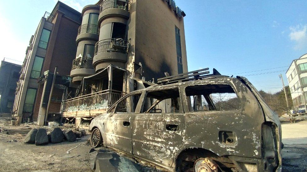South Korea Wildfires: Deadly Blazes Ravage Southeast, Evacuating Thousands