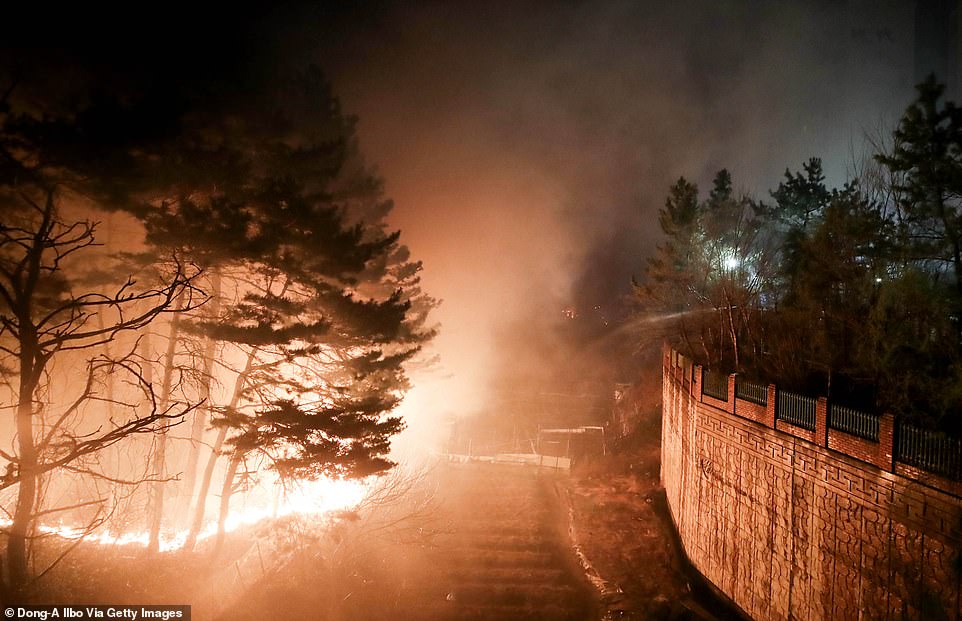 South Korea Wildfires Claim Lives as Unprecedented Blazes Rage