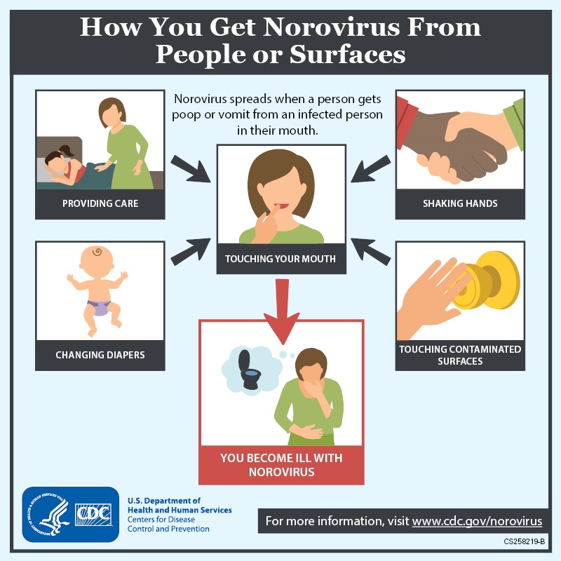 Read more about the article Centre for Health Protection Hong Kong Advises Public to Prevent Norovirus During Overseas Travel