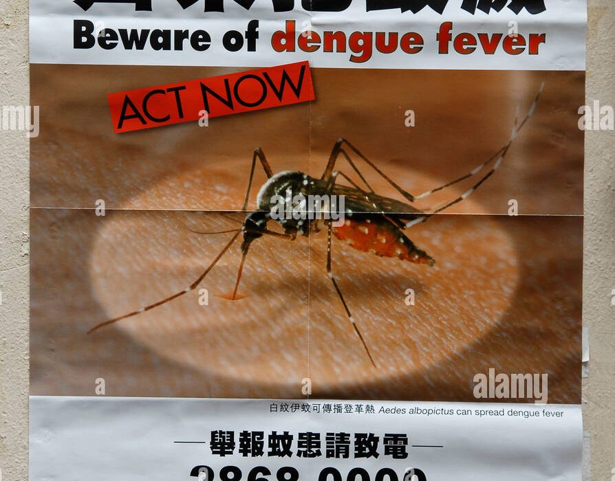 Hong Kong Faces Continued Dengue Case Imports Explained