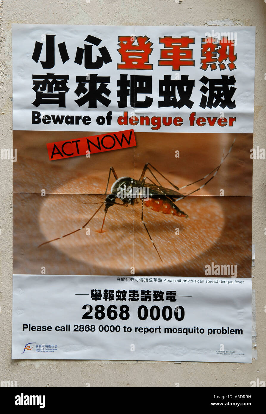 Read more about the article Hong Kong Faces Continued Dengue Case Imports Explained