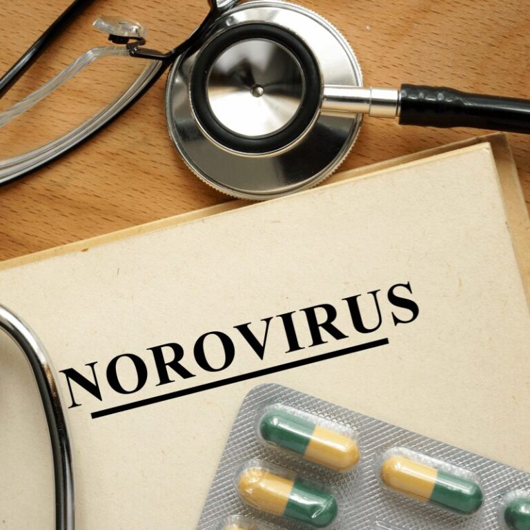 Read more about the article Norovirus in Hong Kong 2025 Prevention and Recovery Guide
