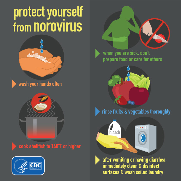 Prevent and Control Norovirus Infection in Hong Kong Guidelines