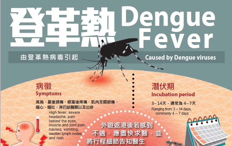 Understanding and Preventing Dengue Fever: Key Tips