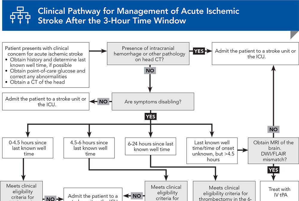 New Acute Stroke Notification System to Boost Recovery Rates in Hong Kong