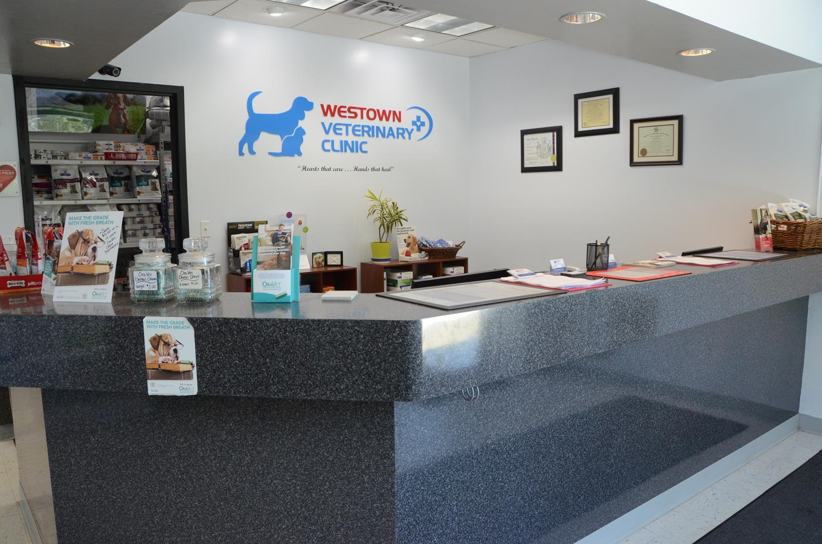 Read more about the article Top 15 Must-Check Pet Clinic Perks in HK