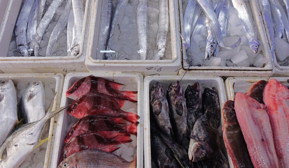 Mainland Resumes Some Japan Seafood Imports: What to Know