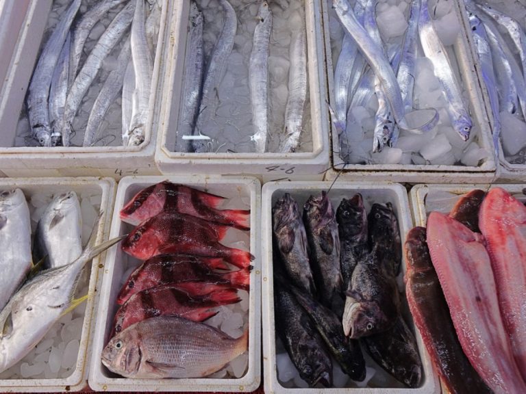 Mainland Resumes Some Japan Seafood Imports: What to Know