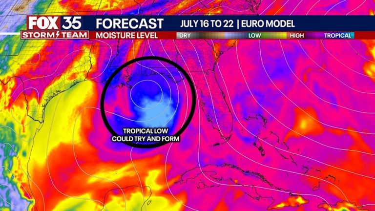 Heavy Rain Alert: Form 1 Registration Updates Coming Soon