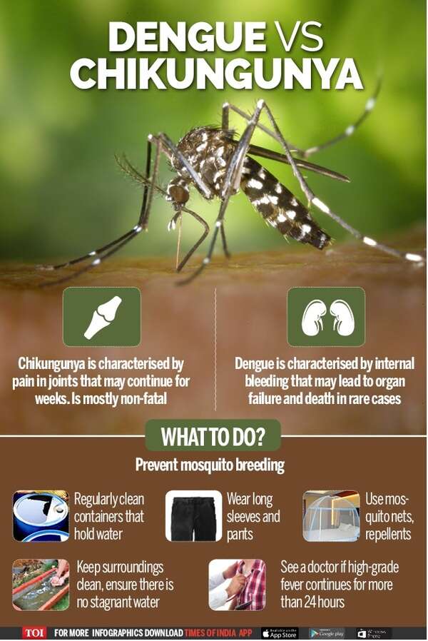 Guangdong, HK, Macao Team Up Against Chikungunya Fever