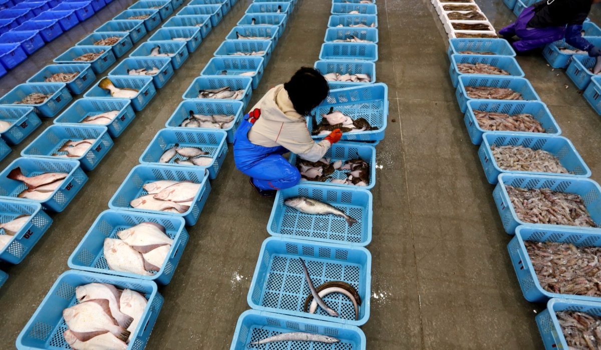 Hong Kong Keeps Ban on Japanese Seafood Over Safety
