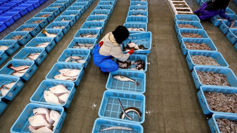 Hong Kong Keeps Ban on Japanese Seafood Over Safety