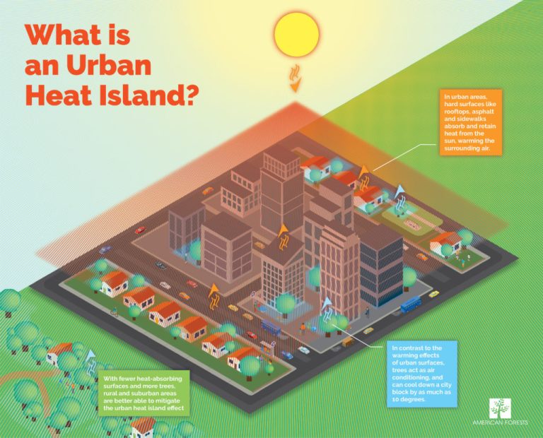 Hong Kong’s Heat Crisis: Health Risks & Safety Tips