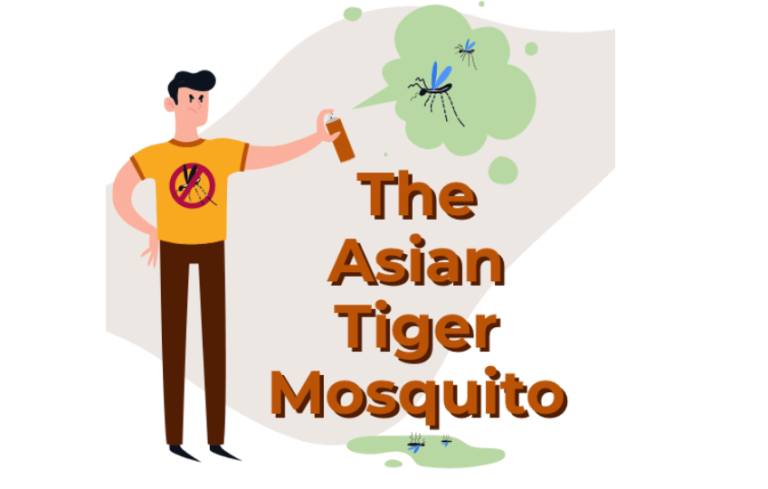 Chikungunya Fever: Long-Term Joint Pain Risks Explained