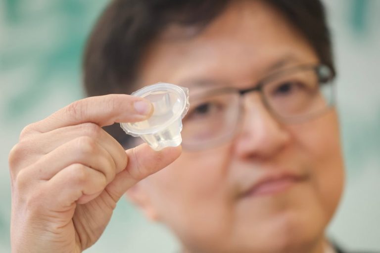 Hong Kong Tightens Rules on Konjac Jelly Desserts