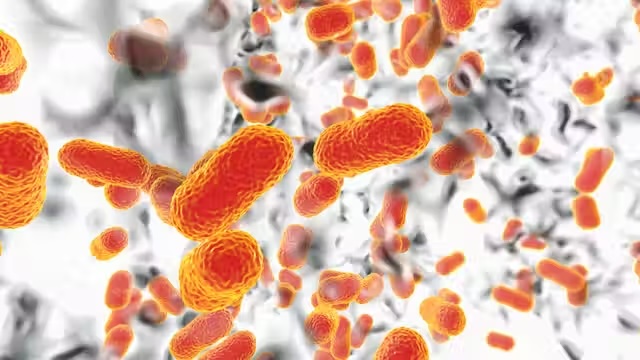 Hong Kong Advances Fight Against Antimicrobial Resistance
