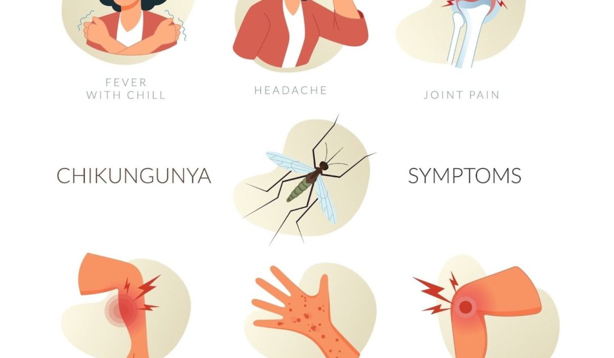 Hong Kong Reports Imported Chikungunya Fever Case
