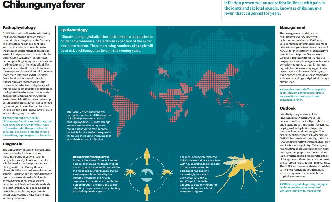 3 Chikungunya Fever Cases in Hong Kong: Travel Risks
