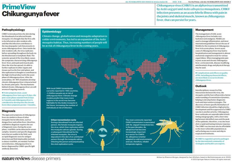 3 Chikungunya Fever Cases in Hong Kong: Travel Risks