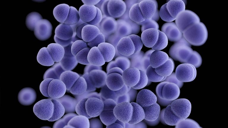 Vancomycin-resistant enterococci VRE causes symptoms and treatment options