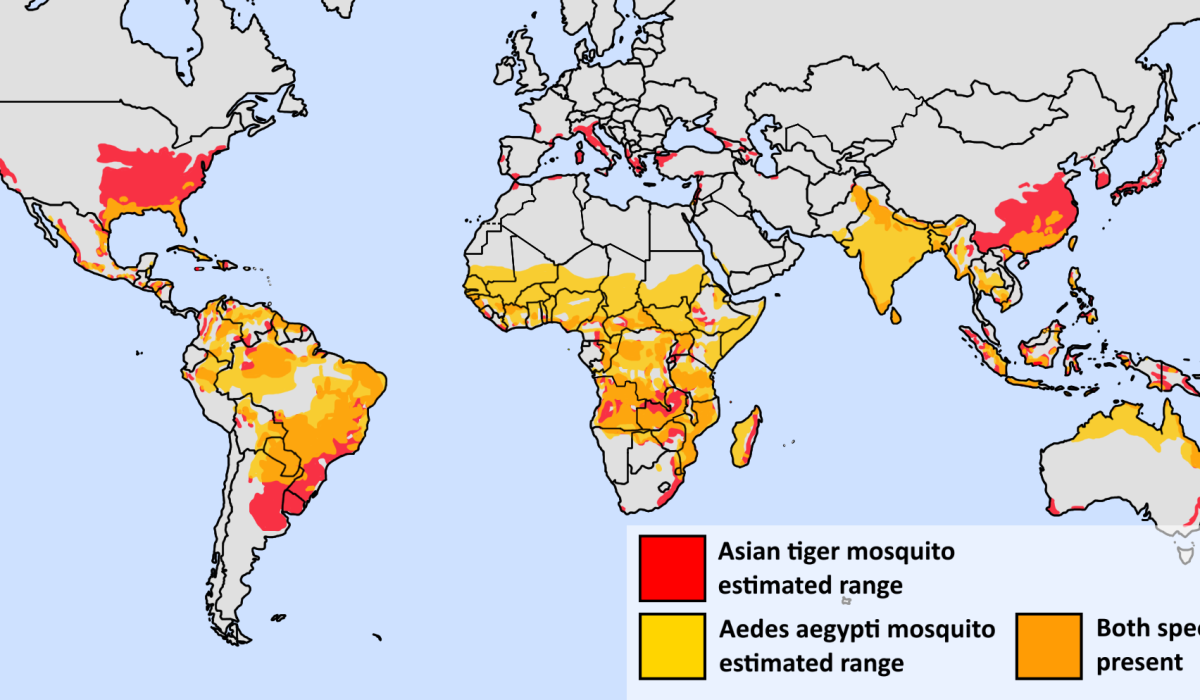 Rising Mosquito Disease Risks: What You Need to Know