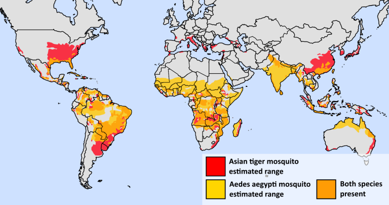 Rising Mosquito Disease Risks: What You Need to Know