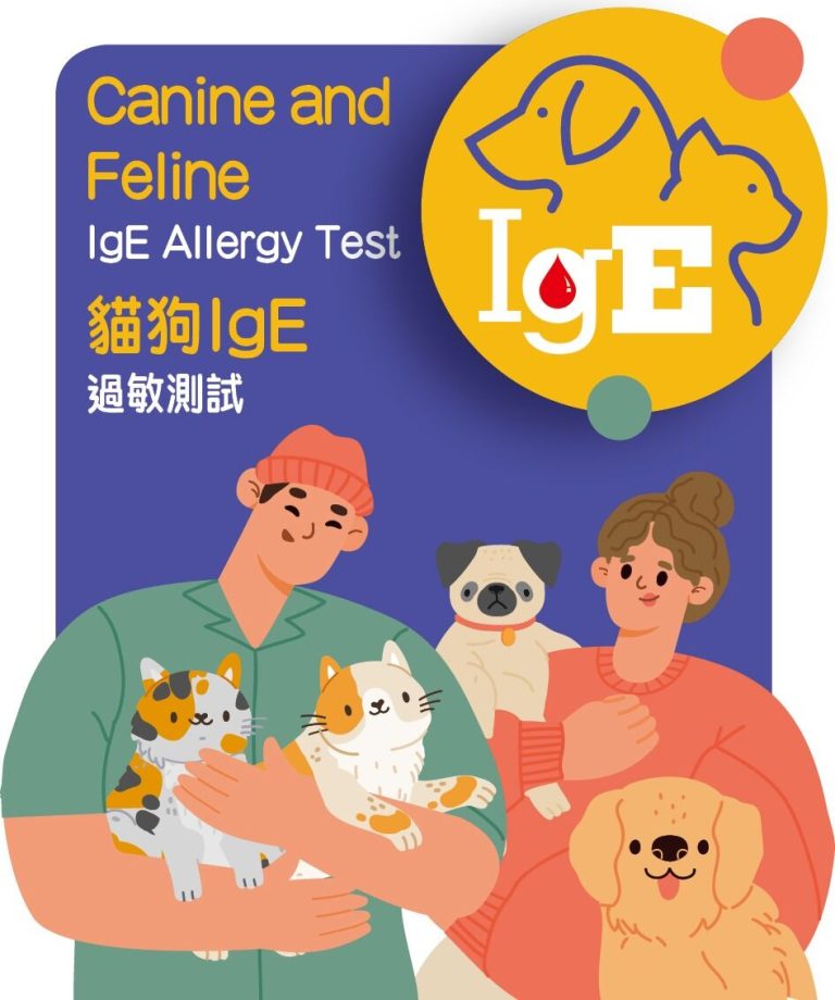 Pet Allergy Truth: Are Cats and Dogs Also ‘Deadly’?