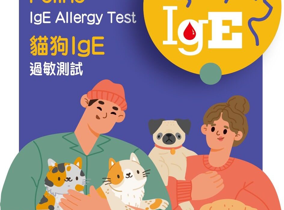 Pet Allergy Truth: Are Cats and Dogs Also ‘Deadly’?