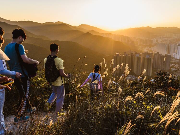 Hong Kong Steps Up Mosquito Control for Chung Yeung Festival