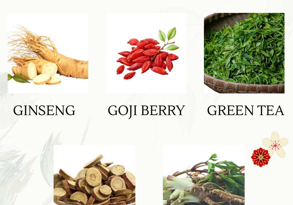 HKBU’s Free TCM Diet Database Boosts Everyday Wellness