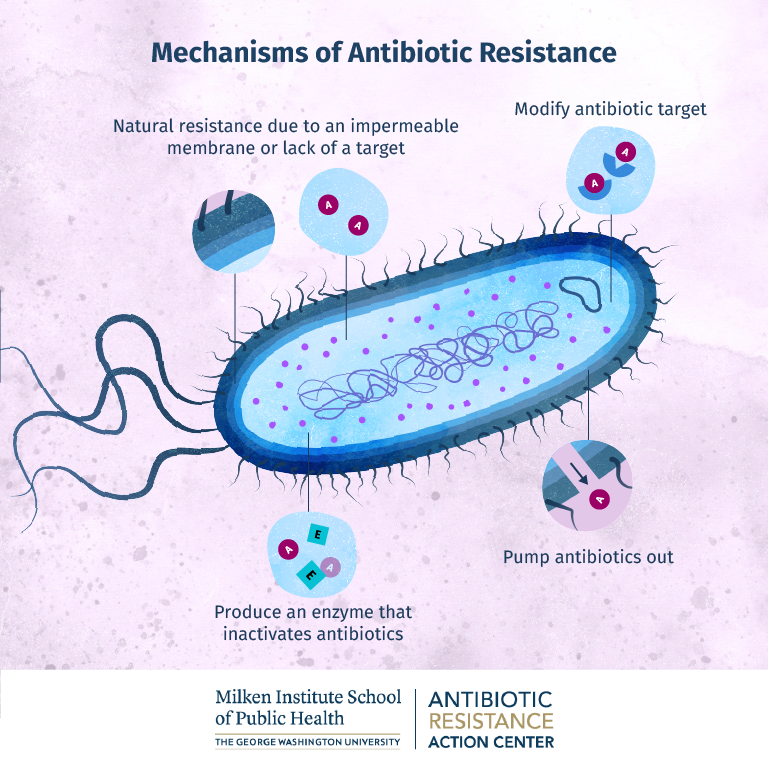 HKU gene tool tracks antibiotic-resistant bacteria spread
